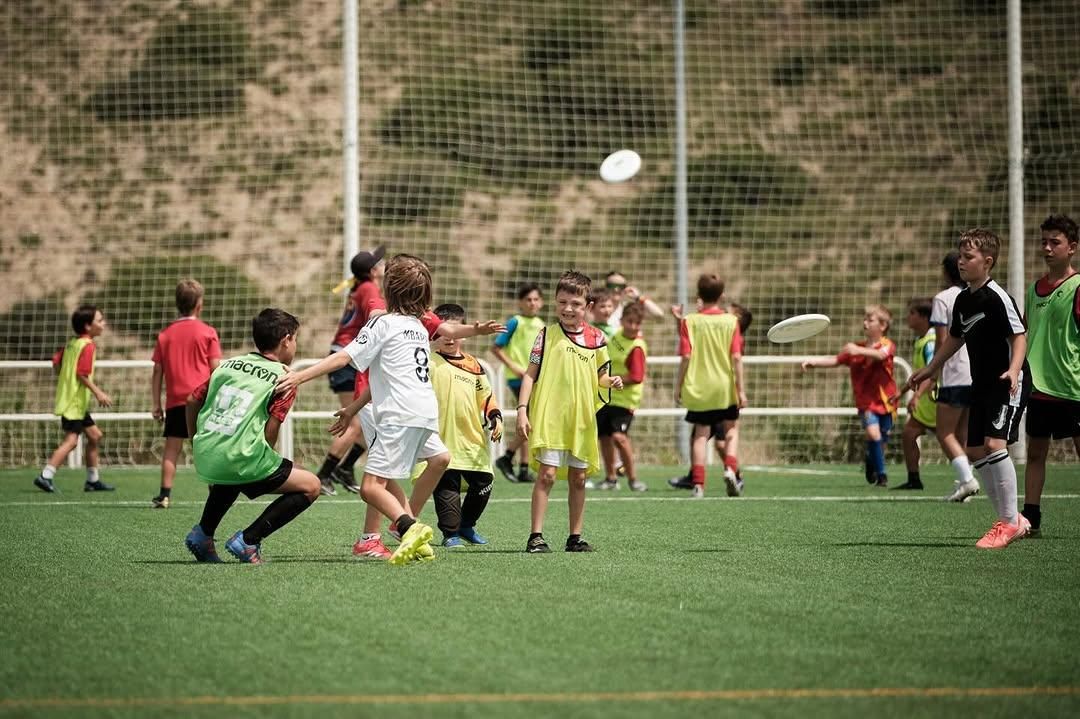 ISF WFDF flying disc