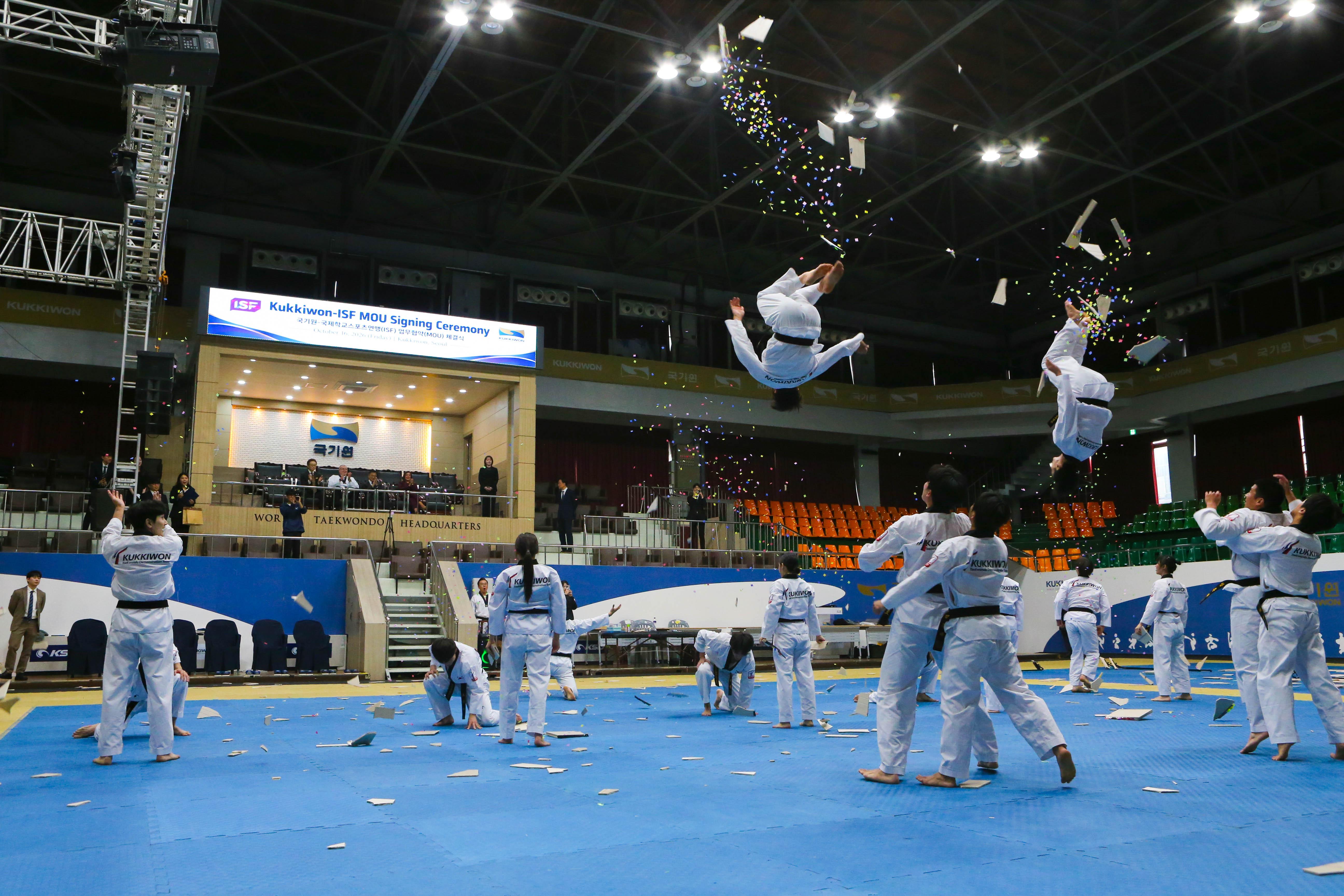 Taekwondo Demonstration Team