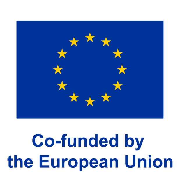 Co-funded by the European Union